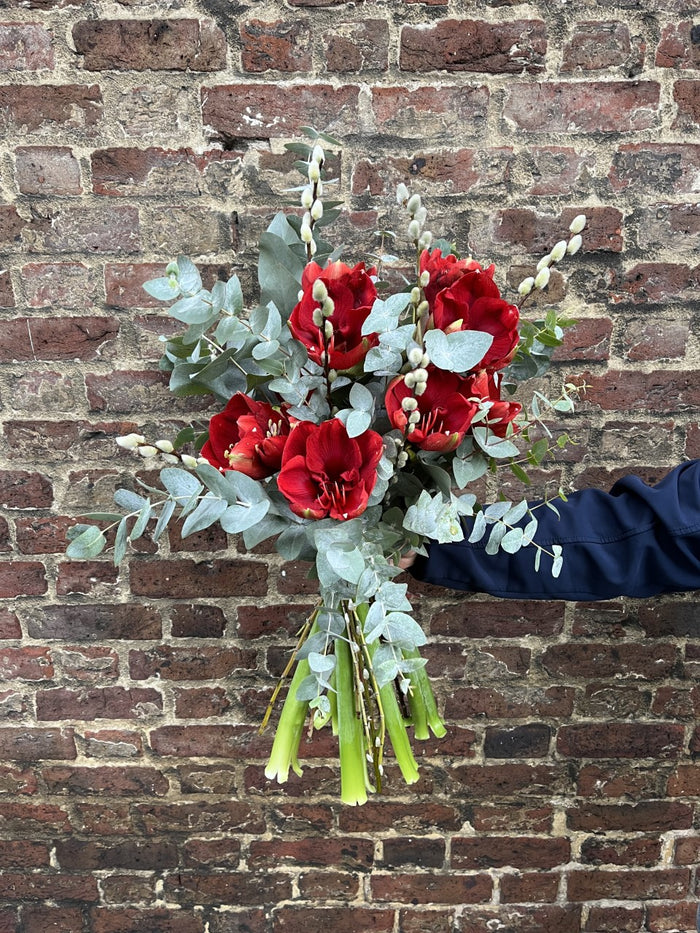 Amaryllis, Pussy Willow & Eucalyptus Arrangement