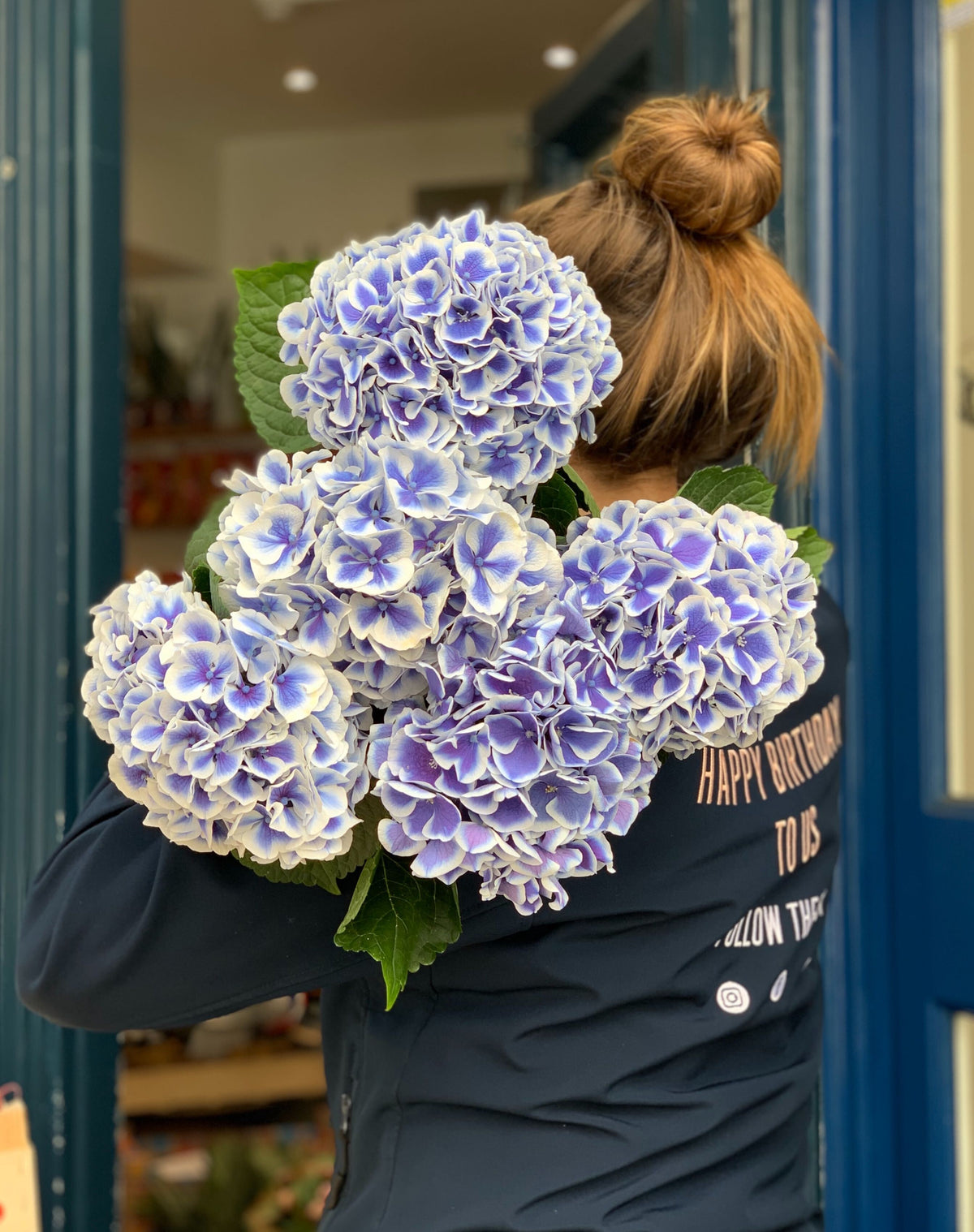 Blue hydrangea