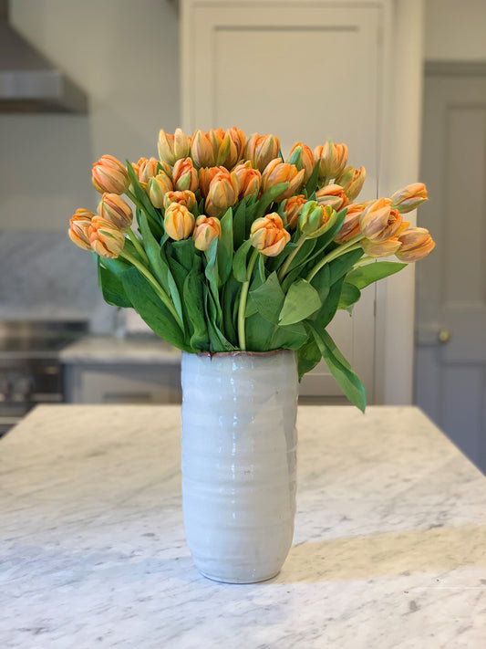 Seville Orange Double Tulips