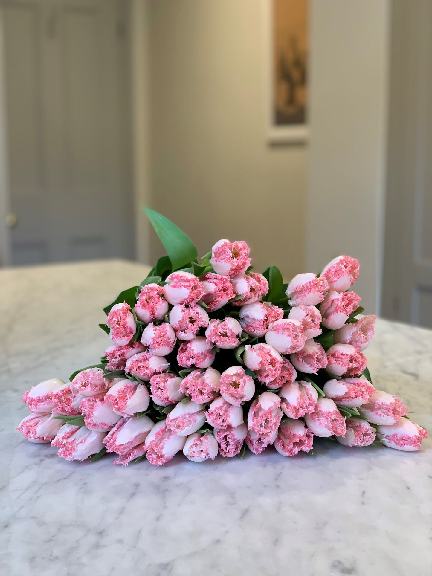 Blush Pink Frilly Tulips