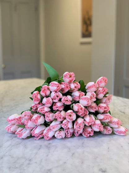 Blush Pink Frilly Tulips