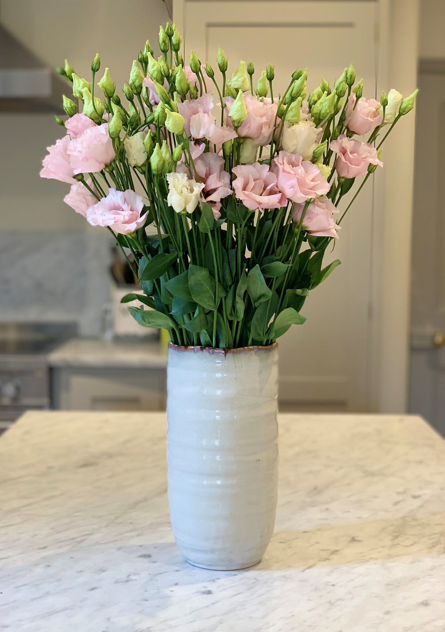 Light Pink Frilly Lisianthus
