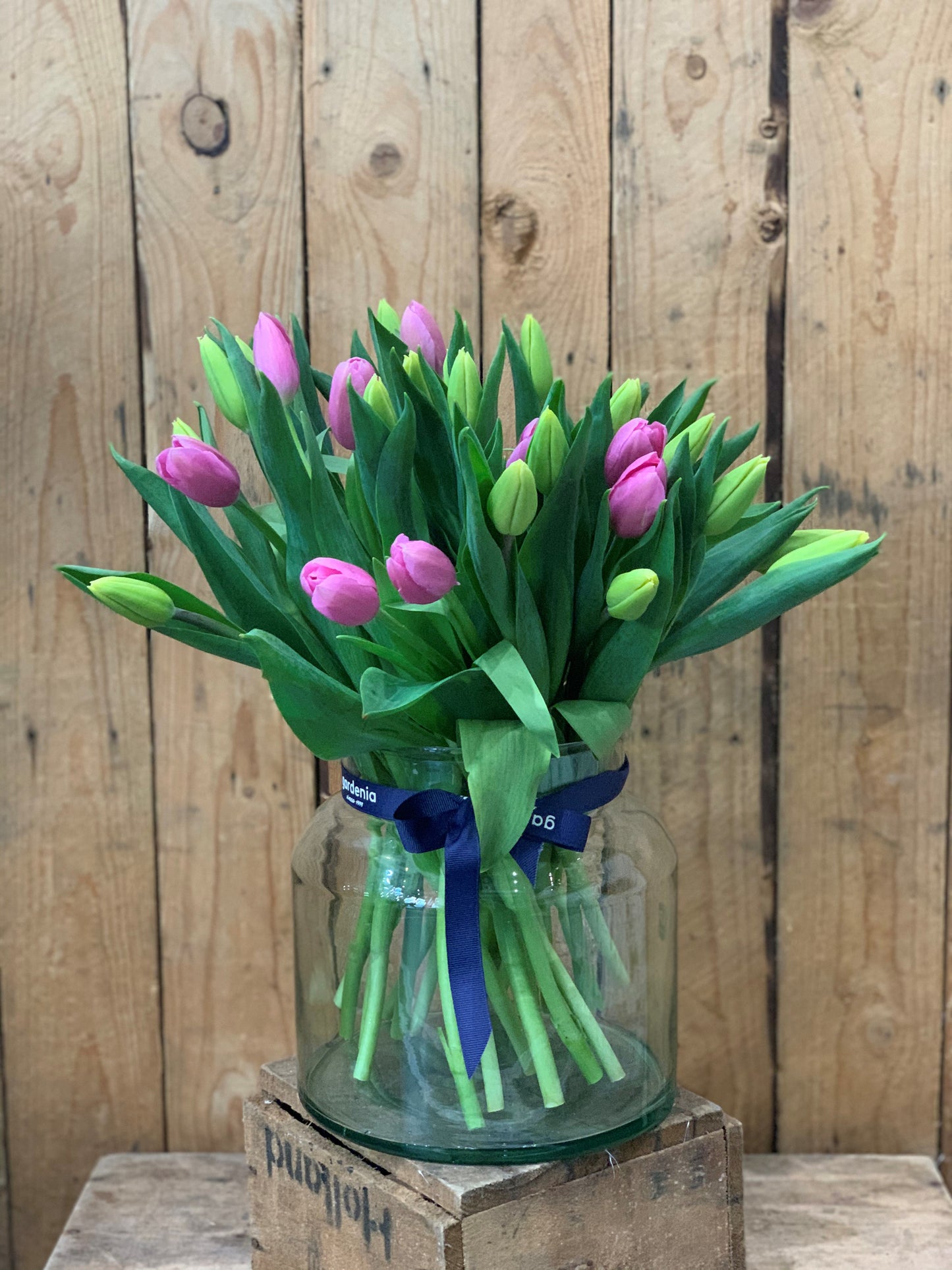 Our pick of the Tulips