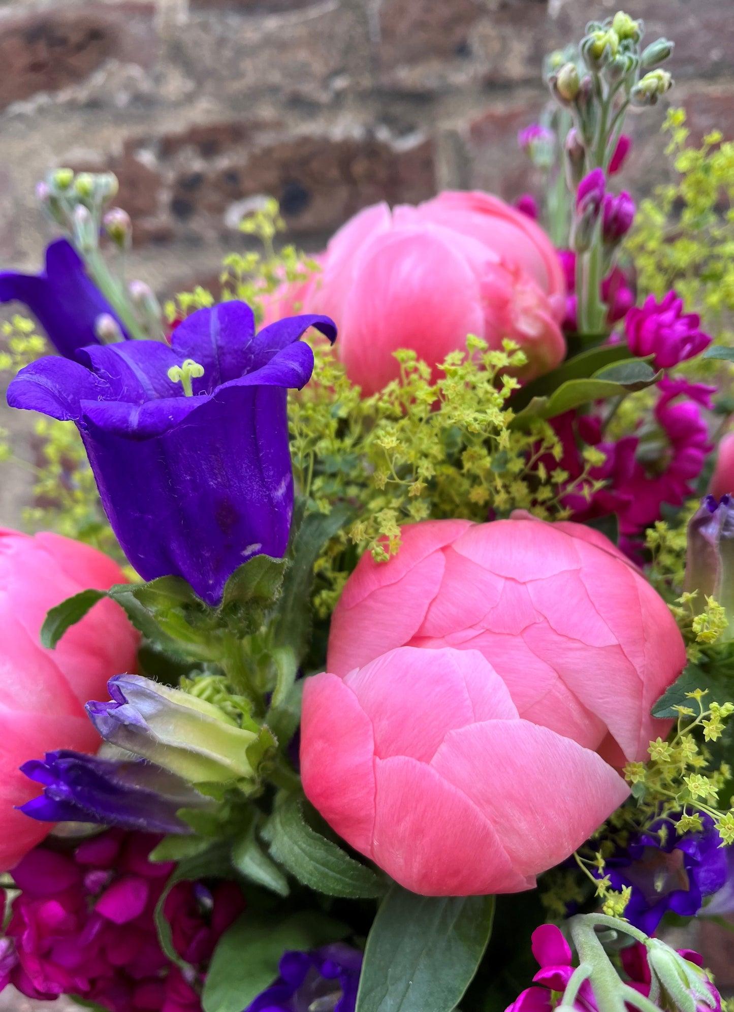 Our pick of the peony bunch