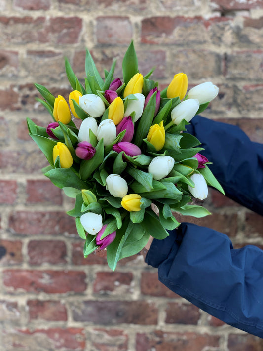 Our pick of the Tulips